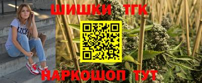 мдпв Славгород