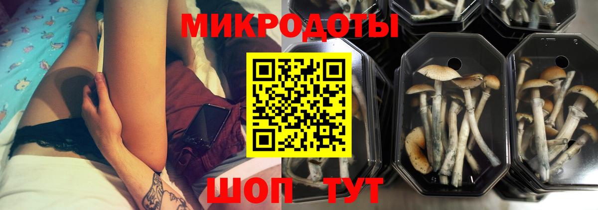 Омск  Псилоцибиновые грибы Magic Shrooms  Вход с VPN 